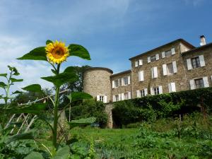 Gîte Alexandrine