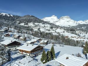 Chalet La Terrasse du Mont-Blanc