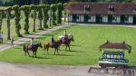 GITES DU HARAS DE BLINGEL