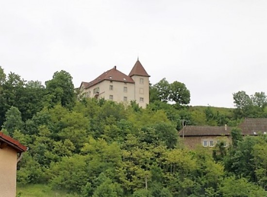 Chateau de Murinais