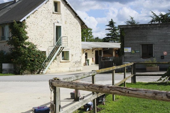 haras des vignes