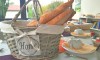 CAMPING LA GRAPPE FLEURIE