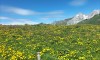 La Grange d'Amande