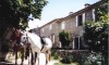 Les Laurons