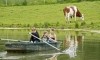 Grand Gite écologique avec piscine chauffée toute l'année