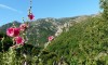 Gîte de séjour à Laboule - Ardèche entre rivière et montagne  24 places