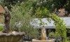 Domaine  LES MAISONS BLANCHES