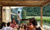 Domaine Mirabel Charmis