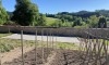 GITE AUBERGE DES PETITS