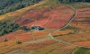 L'Ermitage de Brouilly