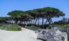 CIS Îles de Lérins