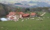 La ferme de Taverne avec piscine chauffée